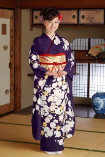 立梅に枝垂れ桜