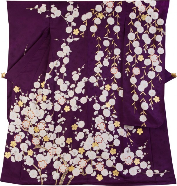 立梅に枝垂れ桜2
