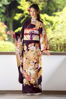 束ね熨斗に菊草花文