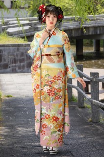 雲取り牡丹草花にぼかし