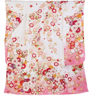 桜草花に裾ぼかし