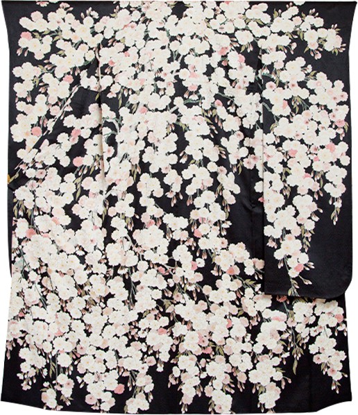枝枝垂れ桜1