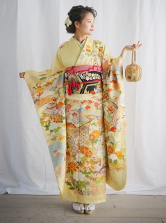 御所解に几帳松
