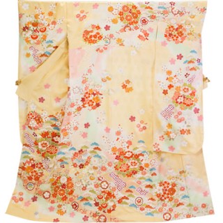 花の丸文に道長取り草花