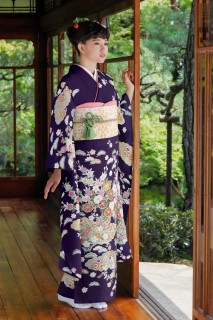 菊草花文様に雲取り
