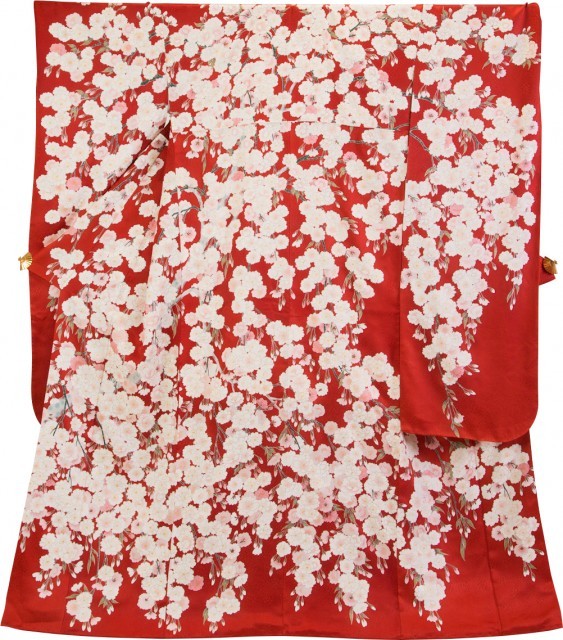 しだれ桜3
