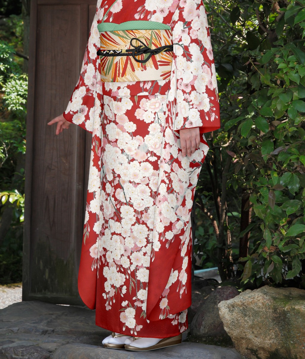 しだれ桜4