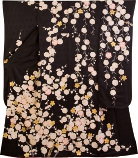 しだれ桜に立梅