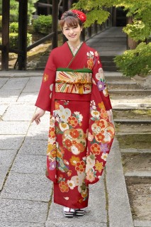 捩り梅に飛び柄