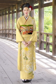乱菊