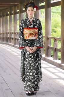 総絞り放射状桜