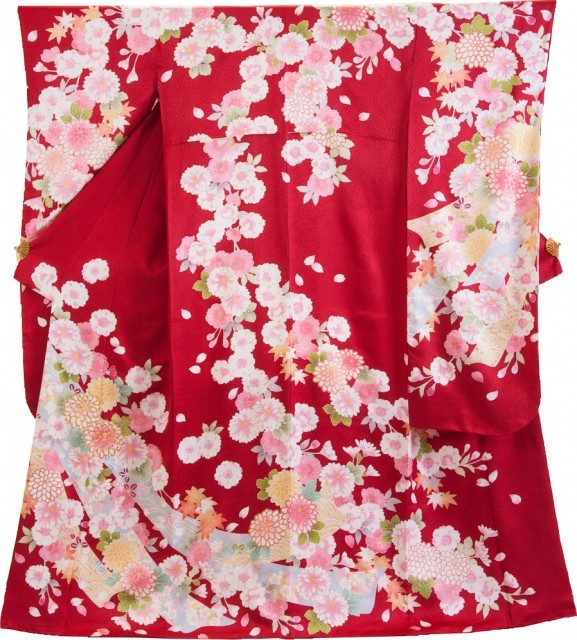 菊文に熨斗文様1
